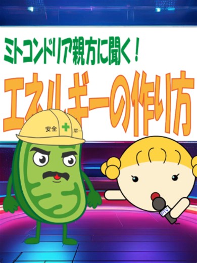 【第７3話🦷】ミトコンドリア親方 今回は、ミトコンドリア親方にエネルギーの作り方をインタビュー ポイントは、グルコースからATPができるまでの流れです👇 ① 細胞質（解糖系） グルコース ↓ ピルビン酸 ➡️ ATPを2個産生 ② TCA回路 ピルビン酸からできた物質を使って、 ➡️ 水素（電子）を取り出す ➡️ ATPを2個産生 ③ ミトコンドリア内膜 TCA回路で取り出した水素（電子）を 電子伝達系へ！ ↓ 電子のエネルギーを使ってH⁺の濃度差をつくる ↓ 酸素を最終電子受容体として利用 ↓ そのエネルギーでATPを大量に産生！ ➡️ ATPを約34個産生 ⭐️つまり！ グルコース ↓ ピルビン酸【ATP 2個】 ↓ TCA回路【ATP 2個＋水素】 ↓ 電子伝達系【酸素を使ってATP 約34個】 📌国試では 「酸素を使ってATPをたくさん作る」 ＝ ミトコンドリア内膜の電子伝達系 ここを押さえておこう✍️ ▶1分で国試対策 ▶次回も見たい人はフォロー ▶保存してあとで見返して ▶Youtubeでは90話以上配信中 ▶続きはプロフィールを見てね！ #歯科衛生士 #歯科衛生士学