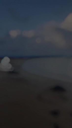 Fw. Ilysm @addisonre