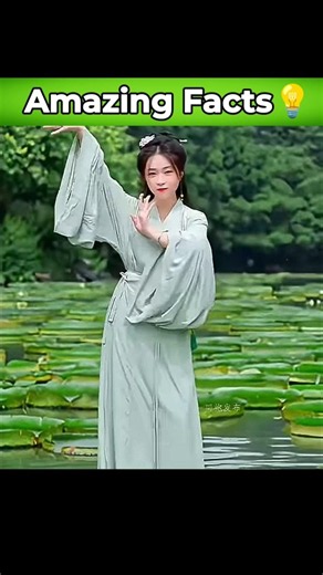 Victoria water lily #facts