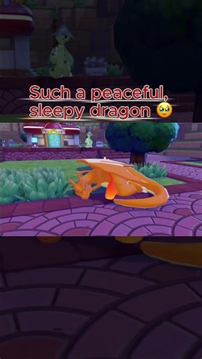 Why Is Charizard So Cute 🔥