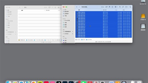 lr导入，标记，修改，导出流程