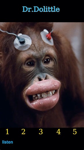 The Linguistic Test | Dr. Dolittle (1998)