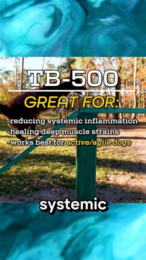 TB-500 for Dogs #dogs #peptides