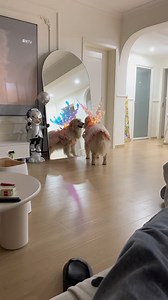 She's a true Disney Princess.. 🥰👸 | The Animal World