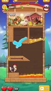 #Chicken Rescue – Fun Puzzle Adventure Gameplay | Save the Chicken!