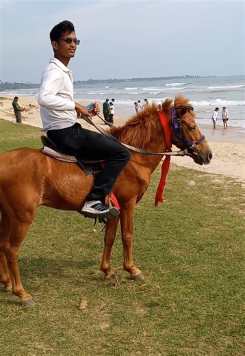 Matara beach pony ride call us for photo shoots 0712814334
