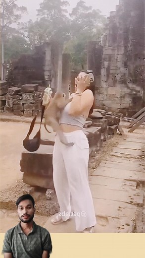 266K views · 537 reactions | Monkey  bhai ke to maje hi maje hai #contentmonetizationbeta #trendingreel #explorepage #reaction #viral | Pankaj Kushwah | Facebook