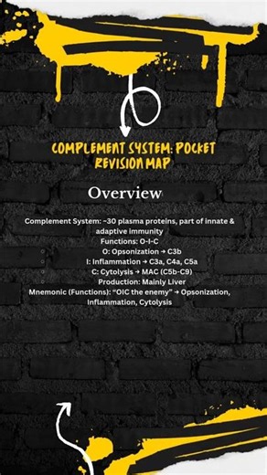 Complement System in 1 Minute😱📚 #immunology #ytshorts #viral #shorts #trending #shortsfeed