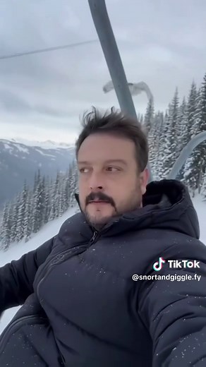 Hilarious Owl Moments That Will Make You Laugh