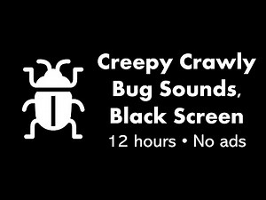 Creepy Crawly Bug Sounds, Black Screen 🎧🪲⬛ • 12 hours • No ads