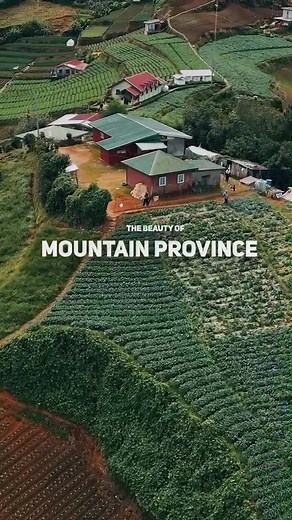 Growing Up in the Cordillera Mountains: Embracing Vegetables Fearlessly! 😂