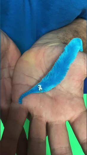 2.4M views · 17K reactions | i promise you he doesn’t bite 缾 #magic #pets | Evan Era | Facebook