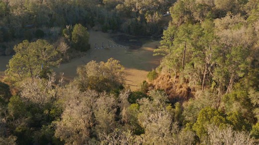 We've got a tight race in FPO for the Final Round of Discraft's Supreme Flight Open presented by Florida's Adventure Coast! Will it all come down to "The Decider" Hole 18? 👀 Watch live now and see the first champion of the 2026 season crowned on Disc Golf Network! www.discgolfnetwork.com | Disc Golf Pro Tour