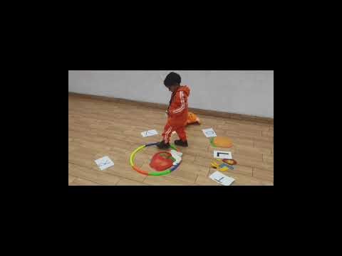 Match the Pictures | Fun Learning Activity NURSERY Bellwether International School MHOW