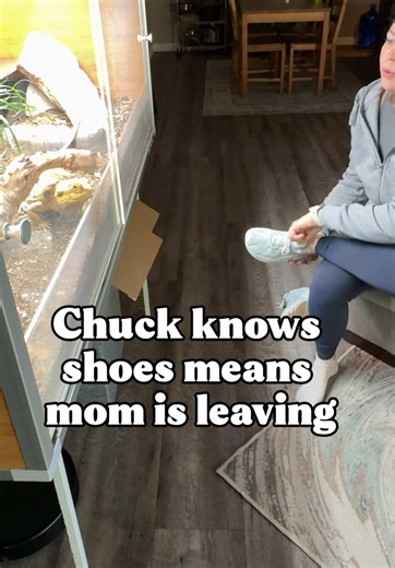 Why Chuck, the Bearded Dragon, Dislikes Being Home Alone