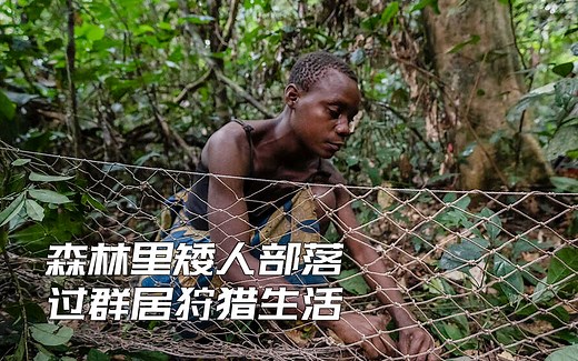 森林里的矮人部落，用藤蔓爬数十米高的大树采蜜，过群居狩猎生活