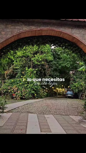 🌿 Roots Cafetería, un bosque dentro de Portoviejo. 🌱 Déjate cautivar por la armonía de la naturaleza mientras disfrutas de una deliciosa comida, bebidas especiales y una agradable conversación con tus personas favoritas. 💚 ✨ Desconéctate del ruido y vive una experiencia diferente en un ambiente único. 📍 Te esperamos en Portoviejo, Ciudadela Comercio, dentro de Quinta Leba. 🕔 Lunes a sábado | 5:00 p. m. – 10:00 p. m. ¡Ven a disfrutar de un rincón natural en el corazón de la ciudad! 😊🌿 #Bos