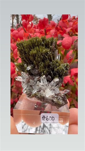 Axinite, Epidote and Quartz Cullhuay, Canta Prov., Lima Dept., Peru 🇵🇪 A great example of my favorite mineral combination, from a very mineral rich country, Peru. This one is in great condition, with a healthy bunch of Epidote crystals, lustrous Quartz and gemmy Axinite crystals. Having handled lots of this material over the years, I can confidently say that only a small percentage of the productions have all 3 minerals of this quality. I grabbed this one on the recent trip to Munich. Typicall