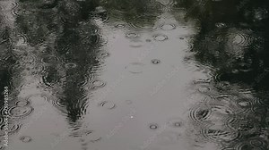 Raindrops fall into a puddle during bad weather and ripples spread from them on the water
