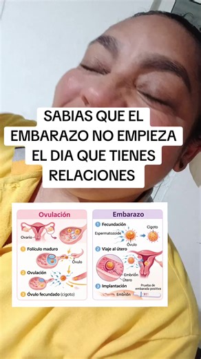 ¿Cómo comienza realmente el embarazo?