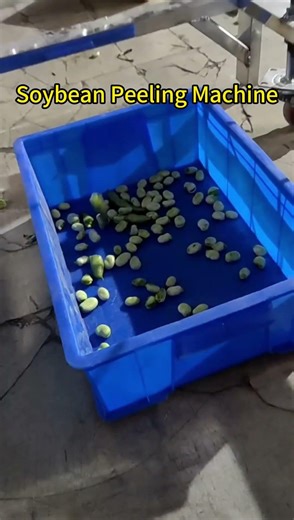Automatic Edamame Peeling Machine for Soybean Processing | Bean Skin Removing Machine#peeling #bean