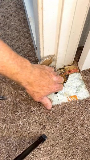 17K views · 33 reactions | Re-patch | Dorset_dagger | Facebook