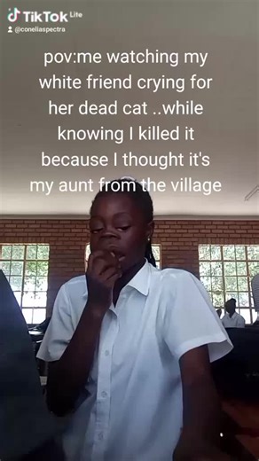 Laugh Trip: A Compilation of Hilarious Moments