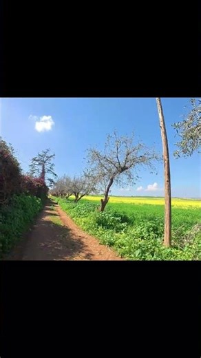 POV: Exploring Tafraoui Canyon | Hidden Nature Near Oran, Algeria