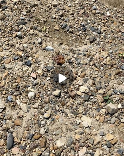 鉱物趣味 | 2024年7月27日 庄内川探石結果2/2 凄いの拾っちゃいました🤩 庄内川の瑪瑙(agate ) 中々こんなの庄内川で拾えないです😆 ①太陽☀️と虹🌈のコラボ ②落ちていた状況 ③濡れた状態 ④乾いた状態 ⑤ライト🔦の透過 #土岐石 #庄内川 #土岐川 #碧玉... | Instagram