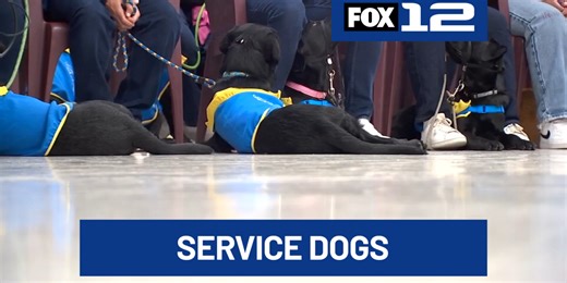 Service dogs reunited with Coffee Creek inmates who helped raise them