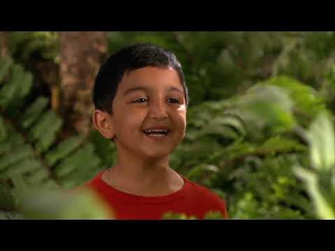 Waybuloo 🧘🌳 Season 1, Episode 48 - De Li's Flowers 💐