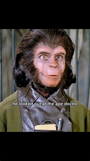 Apes study human survival methods #movie #fpy