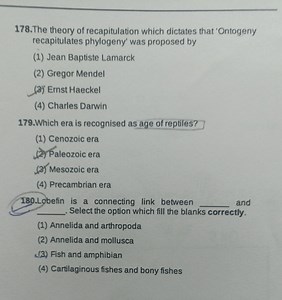 The theory of recapitulation which dictates that 'Ontogeny reca... | Filo