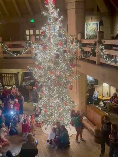 Timberline Lodge on Reels