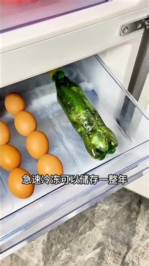 Top 10 Food Storage Tips for Seniors & Kids - Must Share