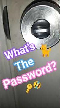I Tested My Cat With A Secret Password...