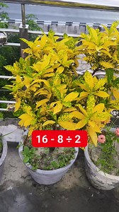 Math Test solve it | M Mathematics