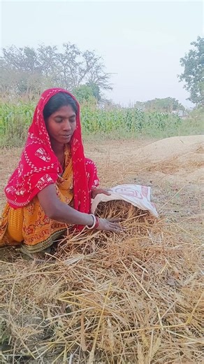 gaon mein dawai le to bahut gand maarte hue short video