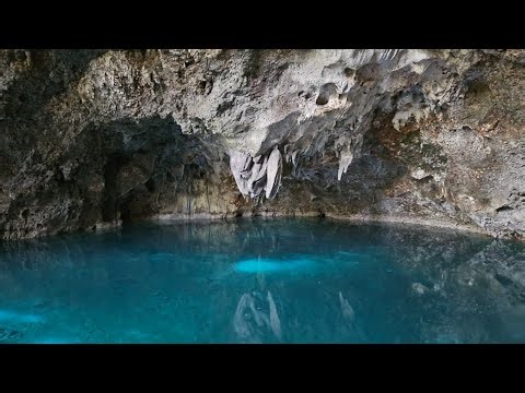 🌿 The Three Eyes – Hidden Natural Wonder in the Dominican Republic 🇩🇴