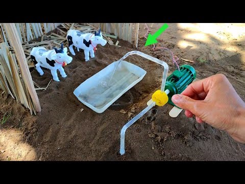 Mini Scientific Project: How to Build a Wooden Cow Farm with a Smart Water Pump Using Syringes