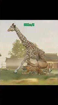 Animals Speed Comparison in 3D Animation #shortvideo