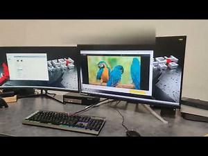 Acer Predator XB323QK 4K144 Hz monitor tested with a DP1.4 KVM switch