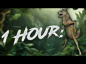 Wolf Dancing Meme [ 1 Hour ]