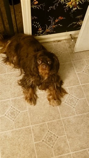 Staring Contest vs Reece