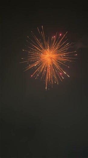 The Ultimate 3.5" Shell Test! 🚀 Stalin Brand Aerial Fireworks at Selvaraj Crackers #fireworks