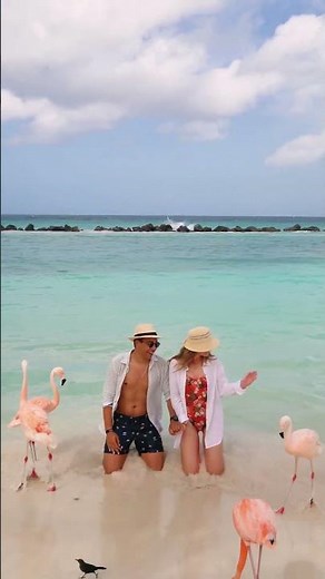 We found paradise on Flamingo Beach Aruba