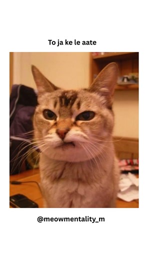 Pappu ka Homework😂🤣👀 #shorts #funnycats #viral #trending #cat #catmemes #memes #funniestvideo#shorts