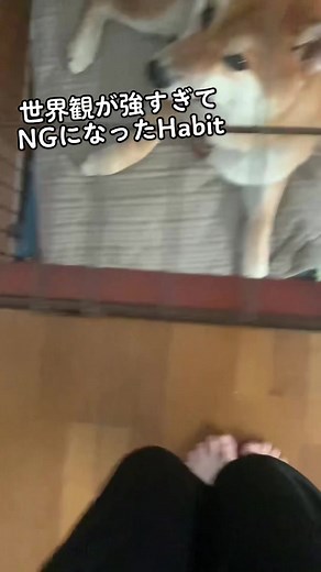和風総分家 歌詞動画: NGに歌詞を入れてみました