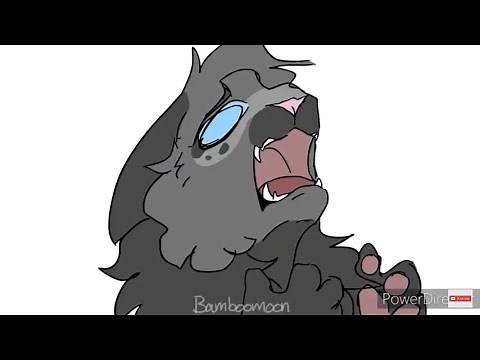 Warrior Cats Memes (Compilation #6)