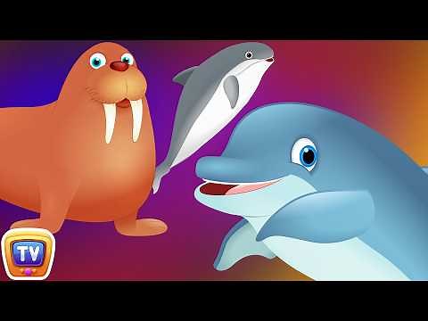 Surprise Eggs Wildlife Mammals Toys | Wild Sea Animals & Animal Sounds | ChuChu TV Surprise For Kids
